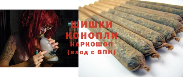ПСИЛОЦИБИНОВЫЕ ГРИБЫ Каменка