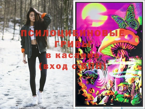 Альфа ПВП Каменногорск