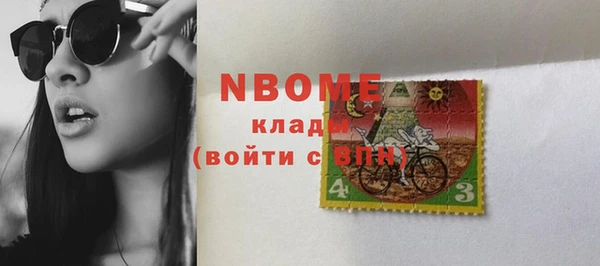 ПСИЛОЦИБИНОВЫЕ ГРИБЫ Каменка